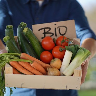 organic farming course